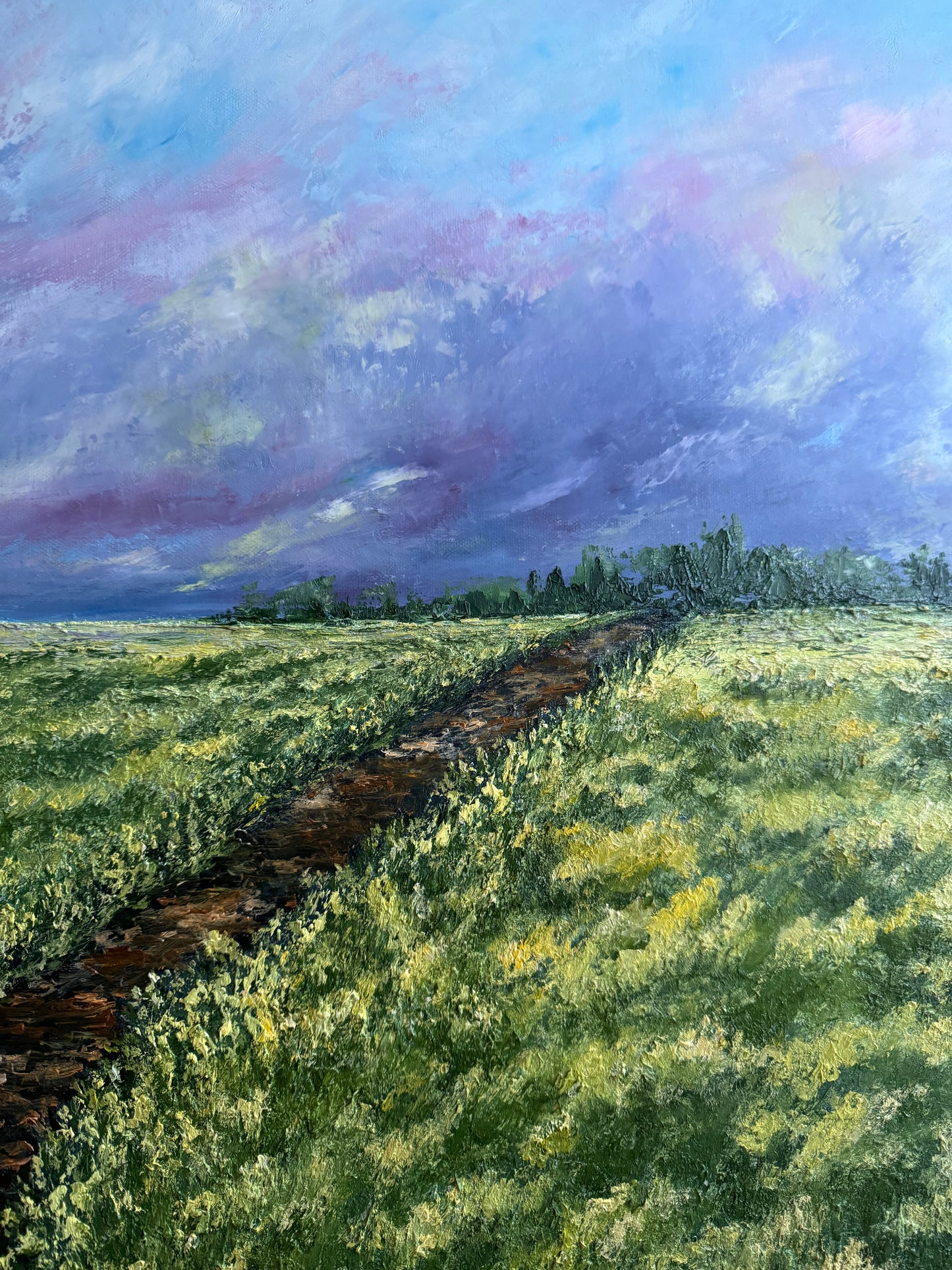 Rapeseed Field – Original Oil Painting